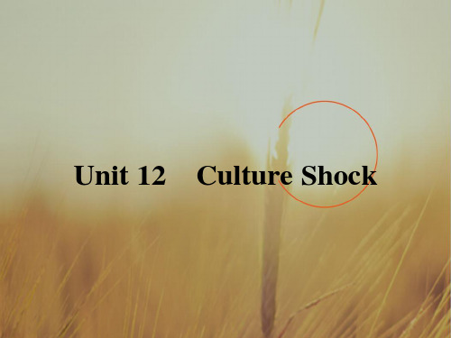 2017春北师大版高中英语必修四课件：Unit 12 Culture Shock12.1 精品