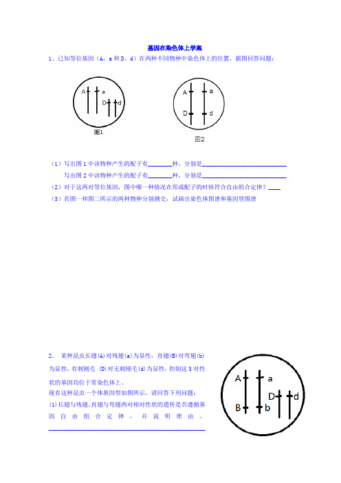 云南省德宏州梁河县第一中学人教版高中生物必修二测试第二章第二节基因在染色体上