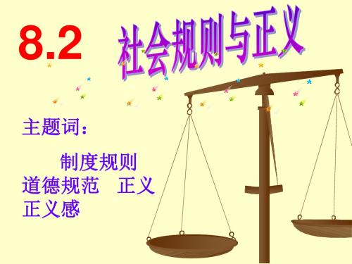 初三政治 社会规则与正义