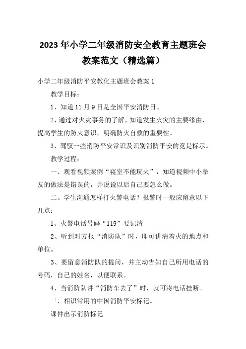 2023年小学二年级消防安全教育主题班会教案范文(精选篇)