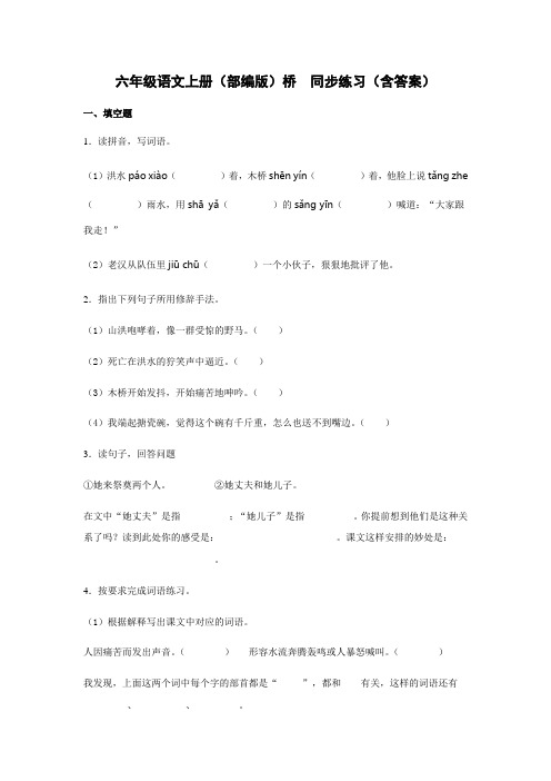 13  桥   同步练习(含答案)