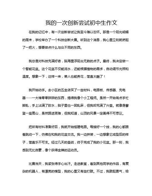 我的一次创新尝试初中生作文