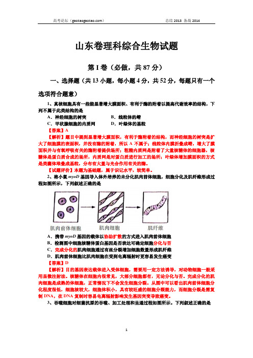 2013年高考真题——理综生物(山东卷)含答案解析 word版