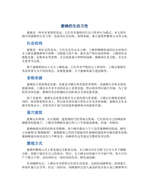 蜜蜂的生活习性