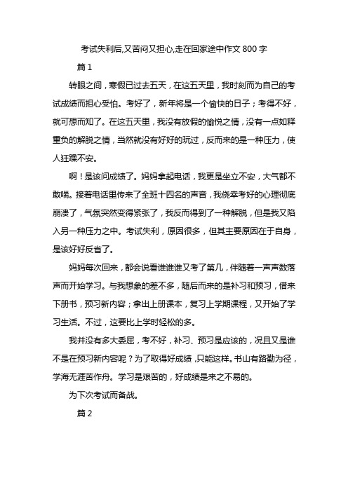 考试失利后,又苦闷又担心,走在回家途中作文800字