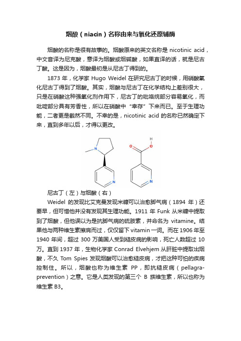 烟酸（niacin）名称由来与氧化还原辅酶