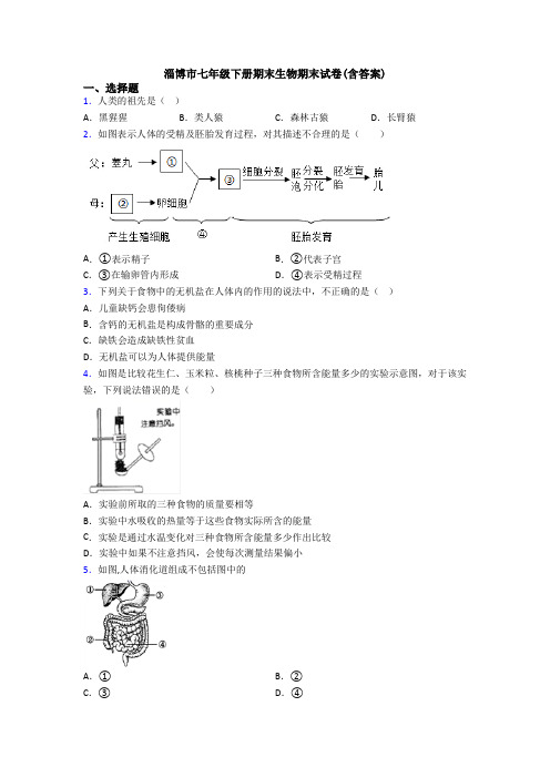 淄博市七年级下册期末生物期末试卷(含答案)