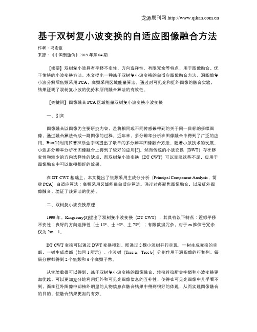 基于双树复小波变换的自适应图像融合方法