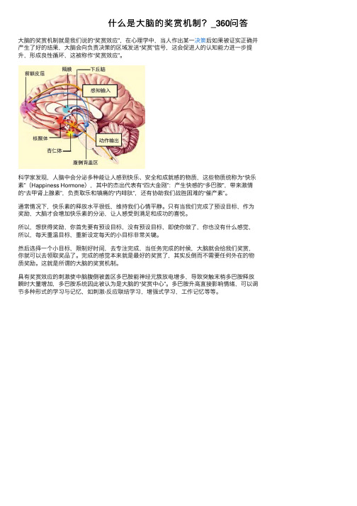 什么是大脑的奖赏机制？_360问答