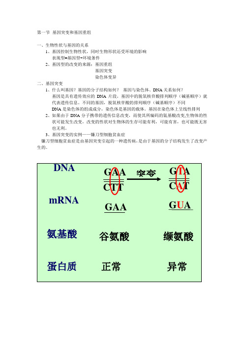 基因突变和基因重组  教案