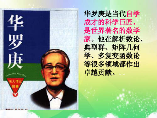鲁教版第一单元高中语文必修一课件:华罗庚