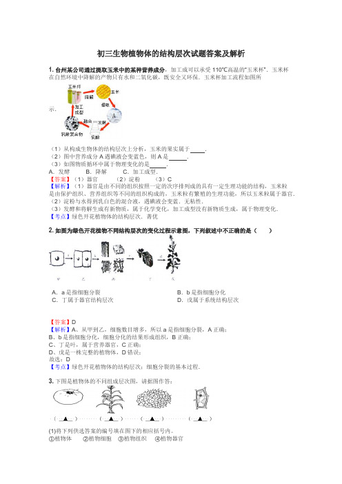 初三生物植物体的结构层次试题答案及解析
