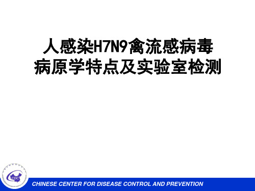 感染HN9禽流感病毒毒病毒原特点及实验检测