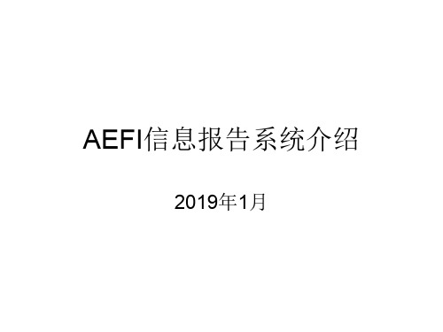 6AEFI信息报告系统介绍-74页精品文档