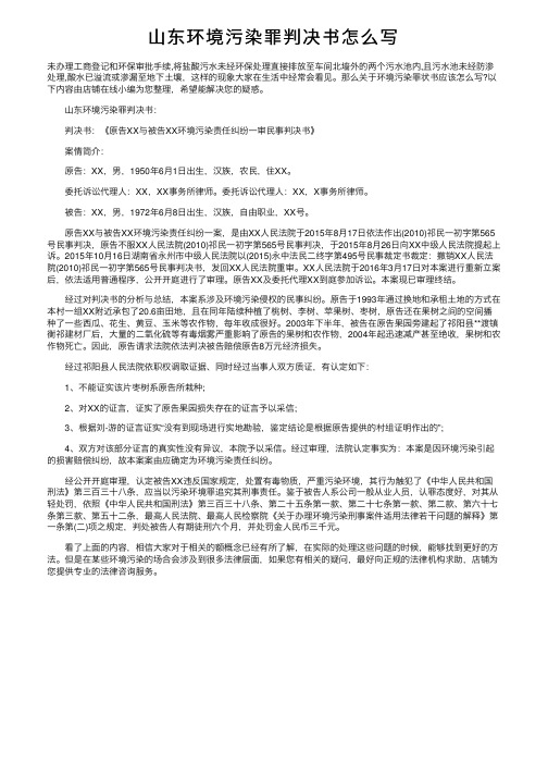 山东环境污染罪判决书怎么写