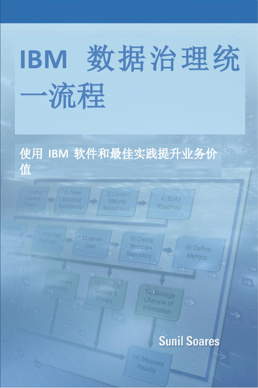 IBM 数据治理统一流程