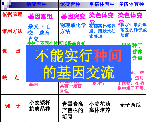 高中生物人教版必修2教案-基因工程及其应用课件