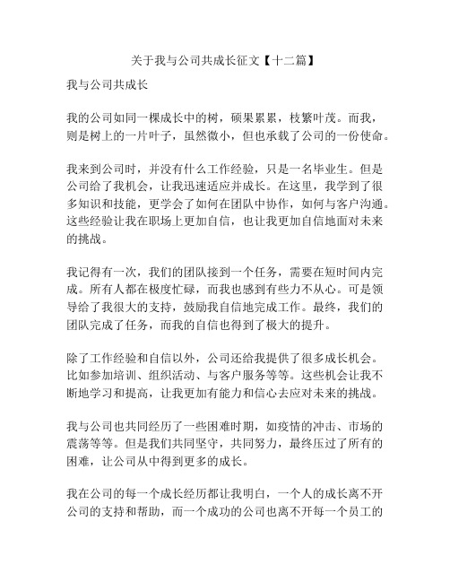 关于我与公司共成长征文【十二篇】