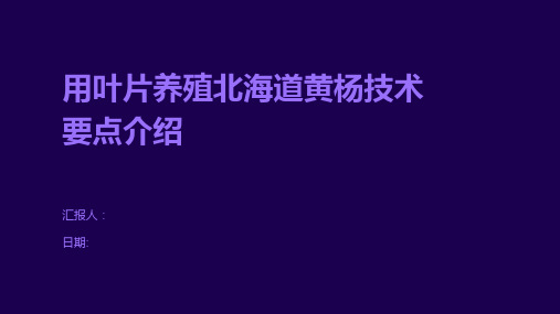 用叶片养殖北海道黄杨技术要点介绍