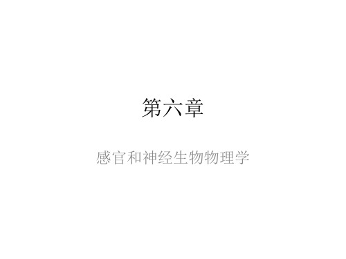 生物物理学：6.1第六章感官和神经生物物理学(1)