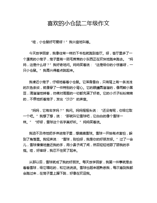 喜欢的小仓鼠二年级作文