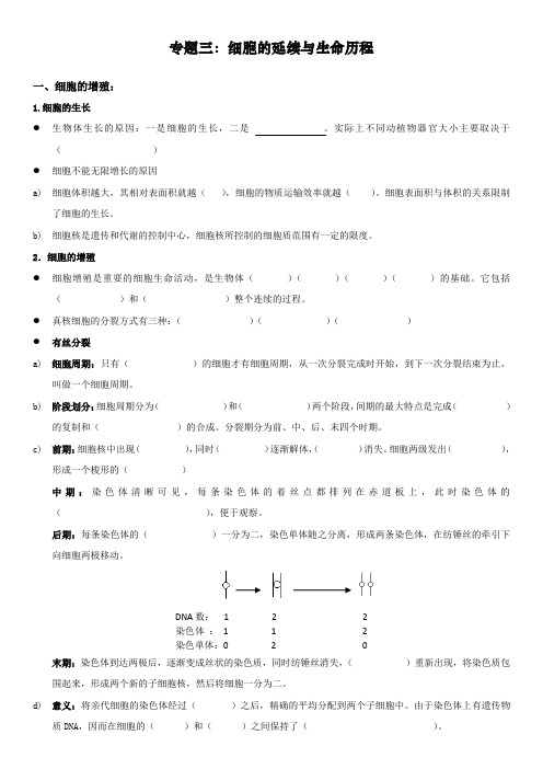 高考生物复习专题三：细胞的延续与生命历程