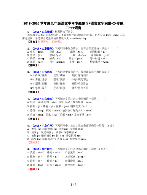 2019-2020学年度九年级语文中考专题复习+语言文字积累+2+专题二+++语音