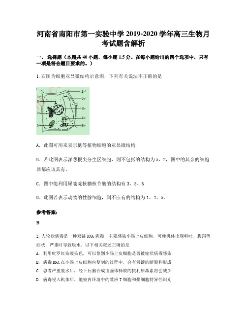 河南省南阳市第一实验中学2019-2020学年高三生物月考试题含解析