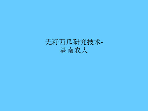 无籽西瓜研究技术-湖南农大