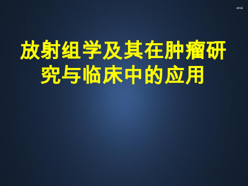 放射组学及其在肿瘤研究与临床中的应用  ppt课件