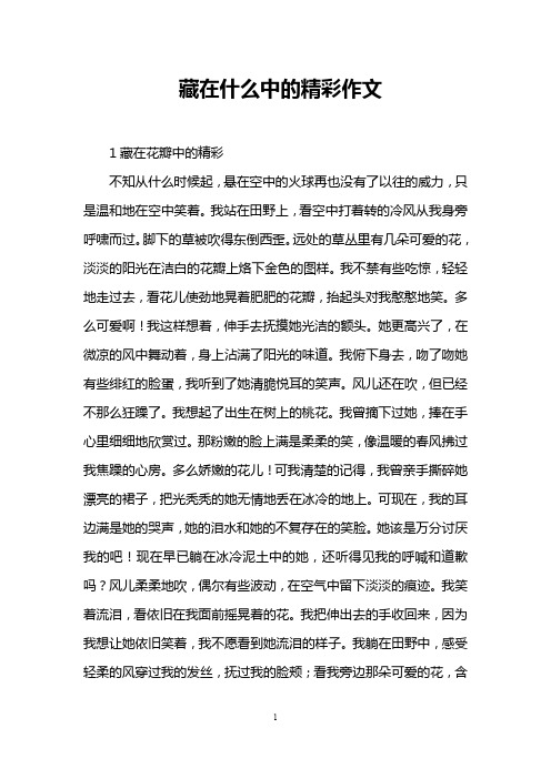 藏在什么中的精彩作文