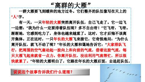 人教版道德与法治七年级下 6.2 集体生活成就我 课件(共23张PPT)