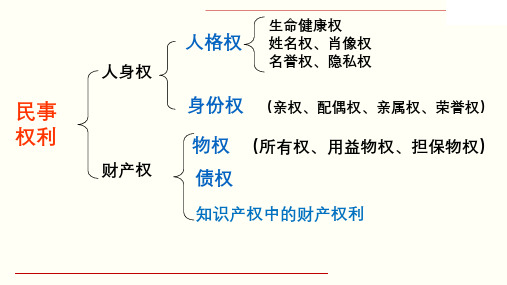 切实保护知识产权1高中政治