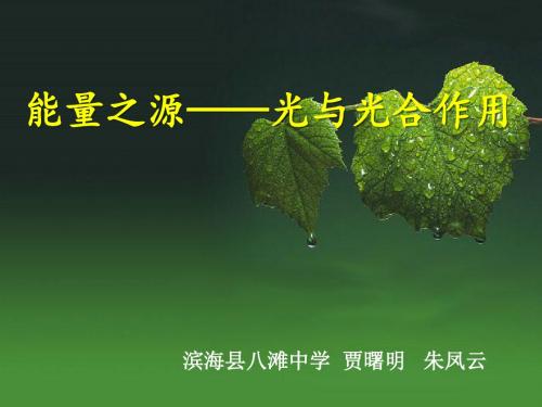 高中生物能量之源——光与光合作用PPT31 人教课标版