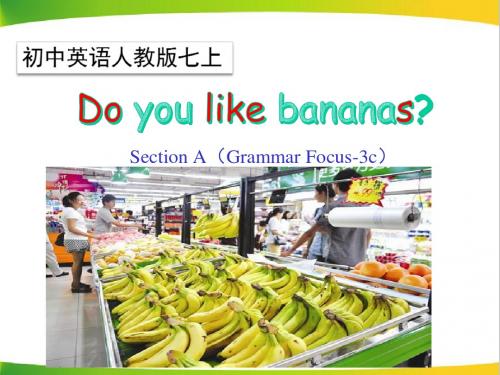 Unit6_SectionA(Grammar_Focus-3c)精品课件