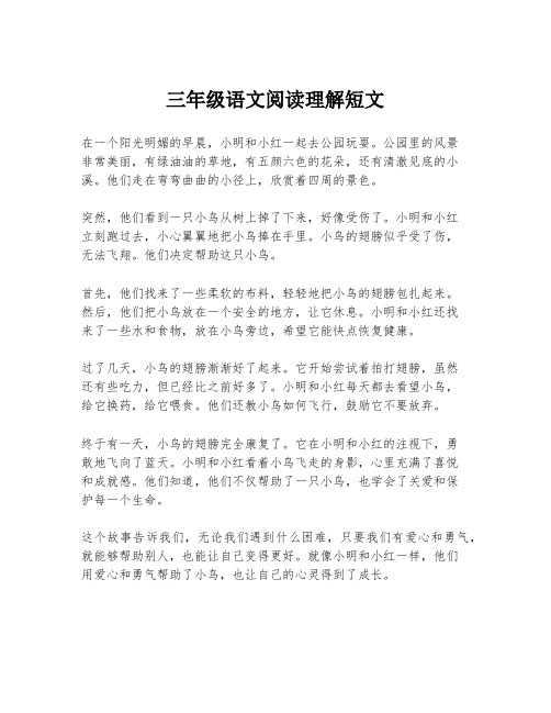 三年级语文阅读理解短文