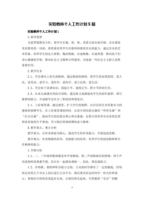 实验教师个人工作计划5篇