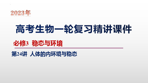 第24讲 人体的内环境与稳态-【2023大一轮】备战2023年高考生物一轮复习精讲课件