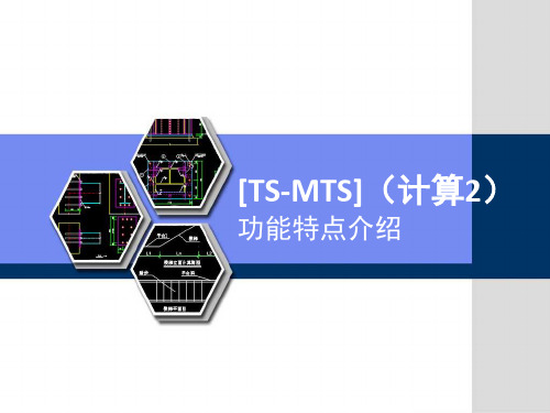 【TS-MTS】特点介绍