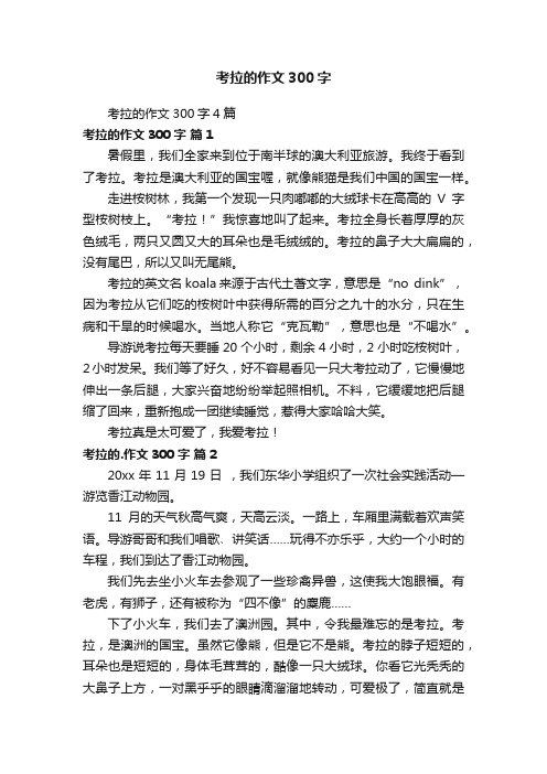 考拉的作文300字4篇