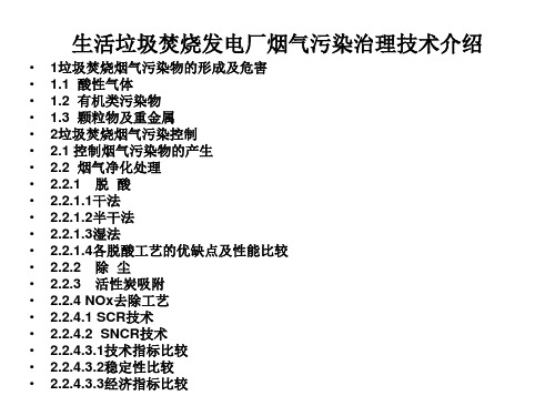 垃圾焚烧发电厂烟气治理