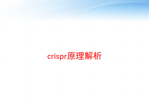 crispr原理解析 ppt课件