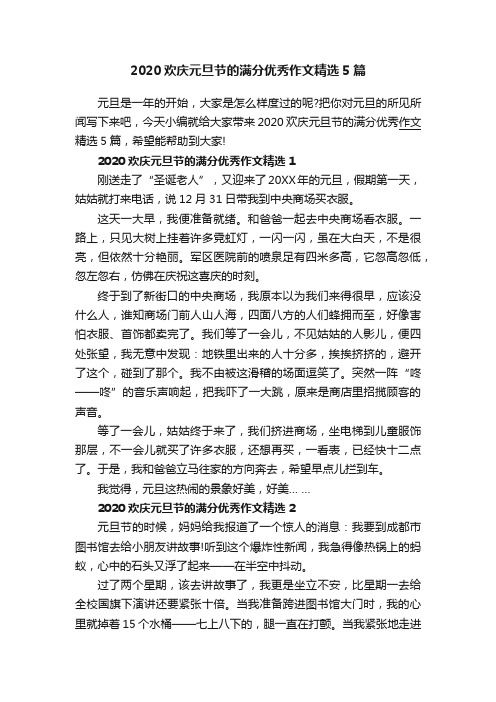 2020欢庆元旦节的满分优秀作文精选5篇