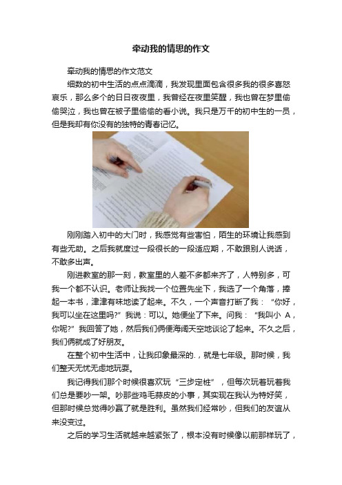 牵动我的情思的作文