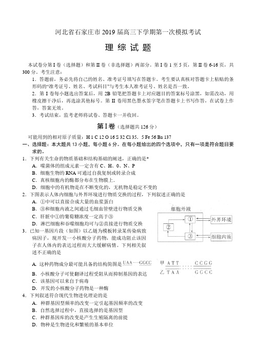 河北省石家庄市2019届高三下学期第一次模拟考试理综