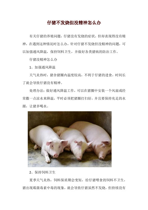 仔猪不发烧但没精神怎么办