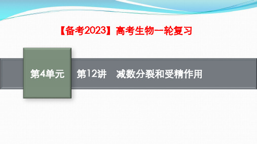 【备考2023】高考生物一轮复习：第12讲 减数分裂和受精作用(共82张PPT)