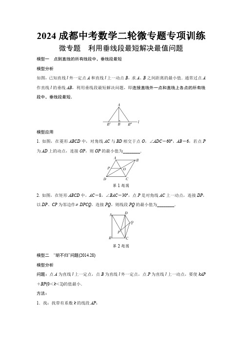 2024成都中考数学二轮微专题专项训练  (含答案)