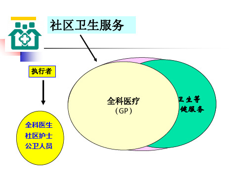 国家基本公共卫生服务项目基础知识(ppt 117页)