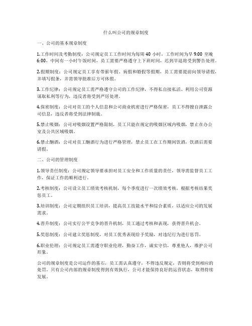 什么叫公司的规章制度